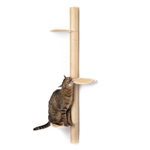 xympo 129,5 cm Kratzbaum zur Wandmontage - Modernes platzsparendes Katzenregal mit Sisal-Kratzbaum & Stahl-Kletterstufen - Stilvolle Katzenwandmöbel für kleine Räume xympo 129,5 cm Kratzbaum zur Wandmontage - Modernes platzsparendes Katzenregal mit Sisal-Kratzbaum & Stahl-Kletterstufen - Stilvolle Katzenwandmöbel für kleine Räume von xympo