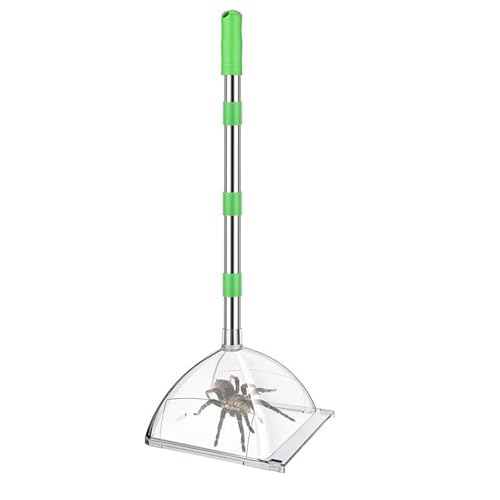 yanwuwa Verstellbares 81,3 cm Spinnen-Fangwerkzeug mit sicherem Entriegelungsmechanismus für Wespen und Spinnen, Innen- und Außenbereich und Entriegelungswerkzeug von yanwuwa