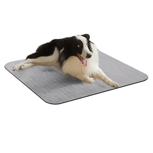 yanzisura Futtermatte für Haustiere, auslaufsicher, waschbar, rutschfest, schnell trocknend, Wasserspender-Matte, verhindert Verschütten, rutschfestes Tablett für Schüssel, Zuhause, Katze yanzisura Futtermatte für Haustiere, auslaufsicher, waschbar, rutschfest, schnell trocknend, Wasserspender-Matte, verhindert Verschütten, rutschfestes Tablett für Schüssel, Zuhause, Katze von yanzisura