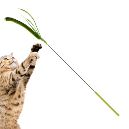 yanzisura Katzenstäbe für Wohnungskatzen, Katzenstabspielzeug für Wohnungskatzen,Realistischer Setaria-Katzen-Teaser | Kätzchen-Stäbchen, Katzenspielzeug, Flexible Feder-Plüschstange zum Spielen von yanzisura Katzenstäbe für Wohnungskatzen, Katzenstabspielzeug für Wohnungskatzen,Realistischer Setaria-Katzen-Teaser | Kätzchen-Stäbchen, Katzenspielzeug, Flexible Feder-Plüschstange zum Spielen von von yanzisura