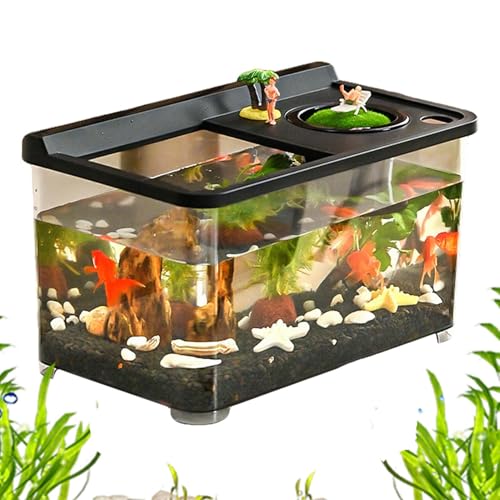 yanzisura Kleines Aquarium Mit 3 Farblicher Beleuchtung | Landschaftsgestaltung Fischtank,Hydroponisches Tischaquarium Für Tischlandschaft Home Arbeitsplatz Eingangsbereich Schlafzimmer yanzisura Kleines Aquarium Mit 3 Farblicher Beleuchtung | Landschaftsgestaltung Fischtank,Hydroponisches Tischaquarium Für Tischlandschaft Home Arbeitsplatz Eingangsbereich Schlafzimmer von yanzisura
