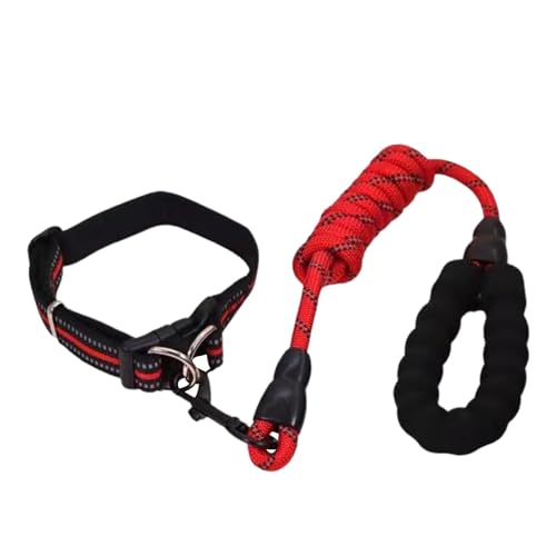 yanzisura Kleines Hundehalsband, verstellbares Haustierhalsband | Verstellbares Hundehalsband für Haustiere,Reflektierende Design-Nylon-Hundehalsbänder, geeignet für große, mittlere und kleine yanzisura Kleines Hundehalsband, verstellbares Haustierhalsband | Verstellbares Hundehalsband für Haustiere,Reflektierende Design-Nylon-Hundehalsbänder, geeignet für große, mittlere und kleine von yanzisura