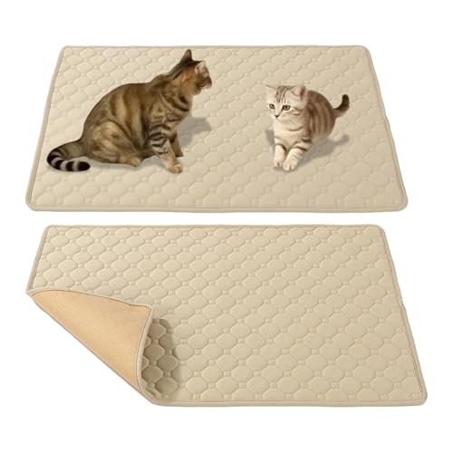 yanzisura Welpen PIPI Unterlagen,Wiederverwendbare Hunde Katzen Toilettenmatte | wasserdichte Schutzmatte Für Innen Außen Reise Schlafbox Welpen Training von yanzisura