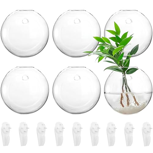 yarlung Set mit 6 wandhängenden Pflanzgefäßen Terrarium, 11.9cm Globe Pflanzen Behälter Wandhalterung Klare Blumenvase zur Vermehrung von Hydrokulturpflanzen, Luftpflanzen (Pflanzen Nicht enthalten) von yarlung