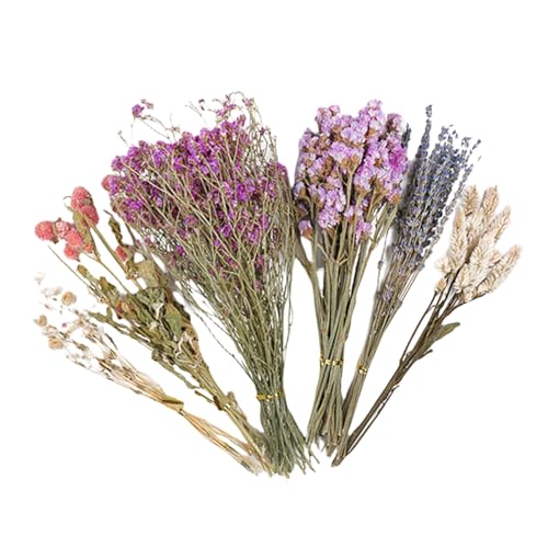 Einstreu für Blumenhamster – natürliche Blumen-infundierte Haustierkäfig-Auskleidung, weiches und gemütliches Nistmaterial, perfekt für Chinchillas, Lemmings, Eichhörnchen, Meerschweinchen, kleine von ycezw