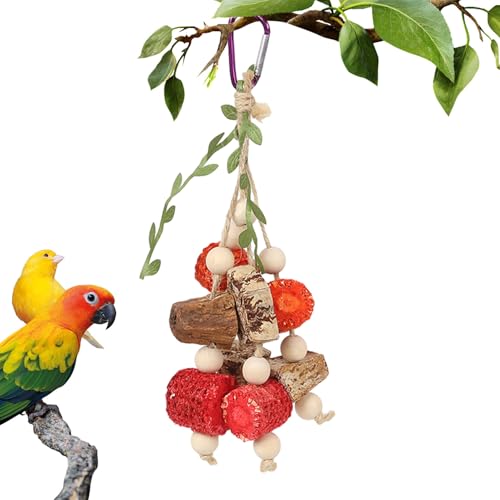 Perrot Toy Rattan Ball - Kaukäfig Spielzeug aus Holz mit bunten Rattankugeln | Spaß Swing für Vögel, scharfe Schnäbel, entspannende Spielzeit, ideal zum Spielen und Erkunden, sicher und st von ycezw