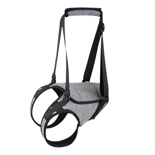 Senior Dog Support Harness - Rear Lift Harness for Large Dogs | Comfortable Dog Aid Harness with Handle Strap, Mobility Support for Senior Dogs, Pet Walking Assistance for Injured or Disabled Dogs Senior Dog Support Harness - Rear Lift Harness for Large Dogs | Comfortable Dog Aid Harness with Handle Strap, Mobility Support for Senior Dogs, Pet Walking Assistance for Injured or Disabled Dogs von ycezw