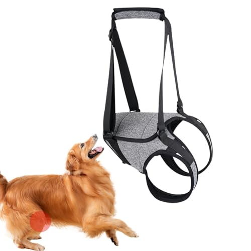 Senior Dogs Lift Harness - Dog Rear Lift Harness Large Dogs Dog Lift Harness | Bequemer Hundehilfsgurt mit Griffschlaufe, Senioren-Hundegeschirr, Haustier-Gehhilfen für Gelenkverletzte, behinderte Senior Dogs Lift Harness - Dog Rear Lift Harness Large Dogs Dog Lift Harness | Bequemer Hundehilfsgurt mit Griffschlaufe, Senioren-Hundegeschirr, Haustier-Gehhilfen für Gelenkverletzte, behinderte von ycezw