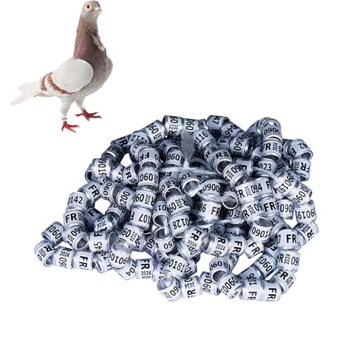 Taubenringe, Birgus Taubenzubehör, bunte Identifikationsringe | 50 Stück sichere Bänder mit leuchtenden Farben zur einfachen Identifizierung, Vogelfußringe und D von ycezw