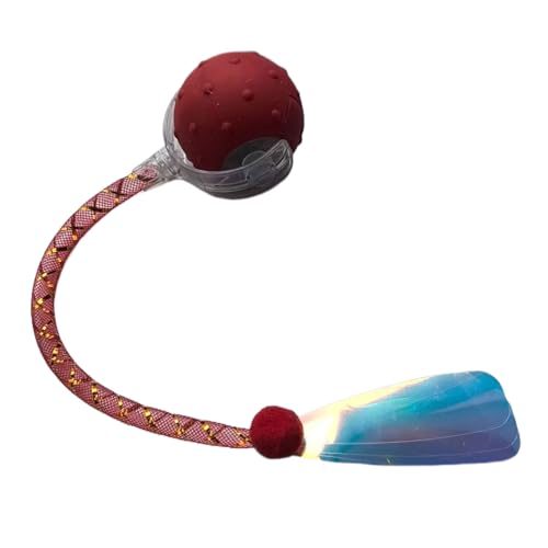 ycezw Automatisches Katzenspielzeug, intelligenter Ball, automatisch, für Katzen, mit elastischem Netzschwanz | mentale Stimulation, Übung, Unterhaltung, Spiel auf dem Boden im Innenbereich ycezw Automatisches Katzenspielzeug, intelligenter Ball, automatisch, für Katzen, mit elastischem Netzschwanz | mentale Stimulation, Übung, Unterhaltung, Spiel auf dem Boden im Innenbereich von ycezw