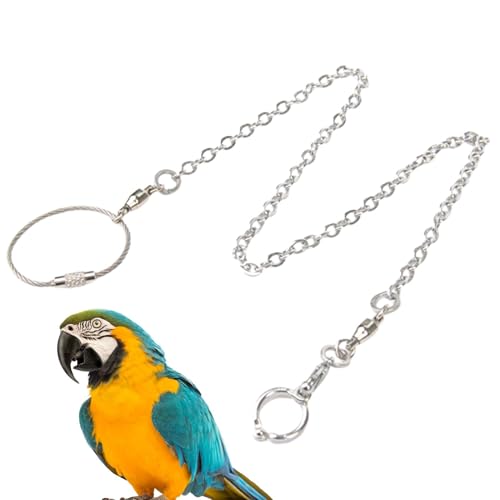 ycezw Haustier-Fußkettchen für Vögel, langlebige Vogel-Fußkette, Anti-Off-Edelstahlring, für den Innenbereich, sichere Leine für Spatzen, Sittiche, bequemes Zubehör für Indoor-Flug und Sicherheit von ycezw