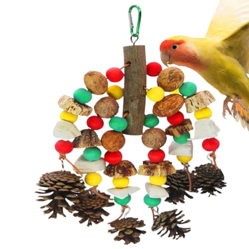 ycezw Perrüche Spielzeug, Papageienspielzeug für großen Vogel, natürliche mehrfarbige Käfigblöcke suchen nach Vogelfutter - Sichtstandszubehör - Accessoires ycezw Perrüche Spielzeug, Papageienspielzeug für großen Vogel, natürliche mehrfarbige Käfigblöcke suchen nach Vogelfutter - Sichtstandszubehör - Accessoires von ycezw