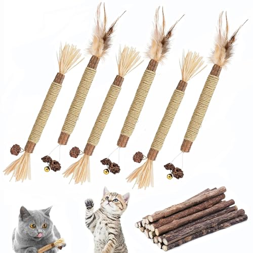 Katzenminze Sticks für Katzen, Kausticks für Katzen, Katzen Kaustangen, Katzen Zahnpflege Spielzeug Dental Kausticks zum Kauen, Beißen, Spielen(6+15 Stück) von yeemeen
