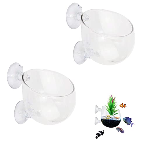 yeemeen Wasserpflanzentopf Aquarium, 2Pcs Aquarium Glas Cup, Aquarium Pflanzenhalter mit Saugnapf für Fish Tank Aquarium-Landschaft Dekorationen Topf für Aquarium yeemeen Wasserpflanzentopf Aquarium, 2Pcs Aquarium Glas Cup, Aquarium Pflanzenhalter mit Saugnapf für Fish Tank Aquarium-Landschaft Dekorationen Topf für Aquarium von yeemeen