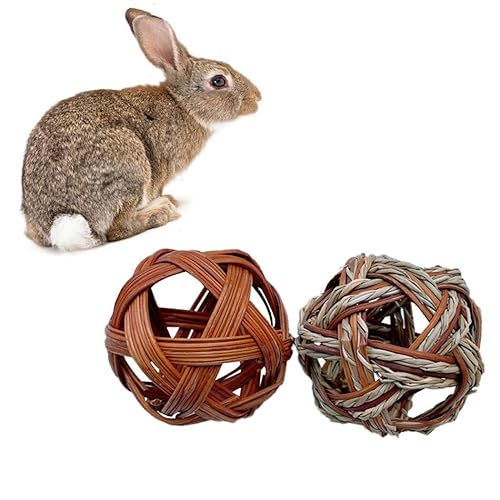 2 kleine, vielseitige, handgefertigte Hohlkammer-Bälle für Kaninchen, Heu-Rack-Ball für universelle Nutzung von yeeplant