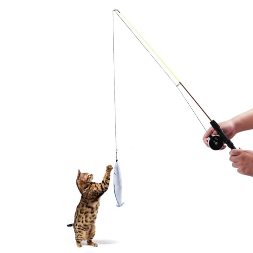 Feder Teaser Zauberstab für Katzen, interaktives langes einziehbares Spielzeug mit gefälschter Kunststofffeder, Indoor-Kätzchen-Spielstock von yeeplant