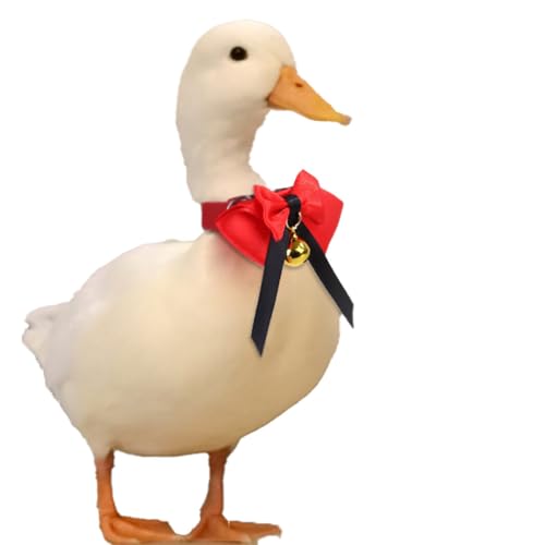 Handgefertigte, schöne Universal-Gänseglocke mit weichem Halsband, Ente, niedlich, verstellbares Halsband, Huhn von yeeplant