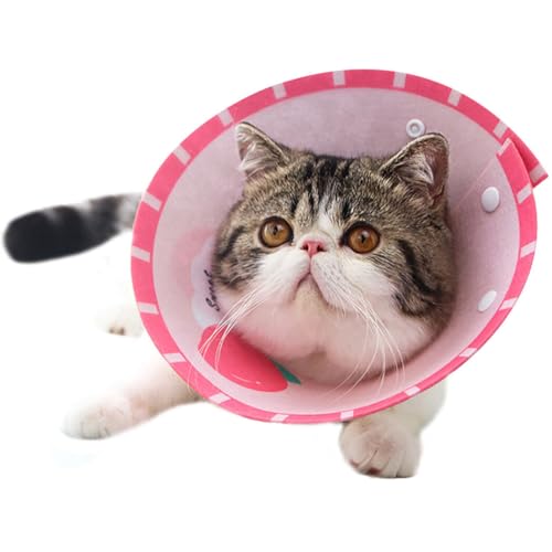 Healing Felt Universal Recovery Collar Kitten Pet Protective Cat Decorative E-Collar Cone for Cat von yeeplant