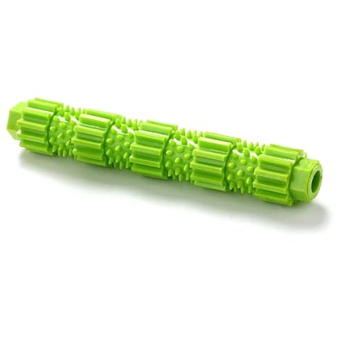 Kauspielzeug für Welpen, Leckerli-Spielzeug, leicht, Gummi, tragbar, interaktiv, Neuheit, kleine Haustier-Zahnbürste, Zahnen Kauspielzeug für Welpen, Leckerli-Spielzeug, leicht, Gummi, tragbar, interaktiv, Neuheit, kleine Haustier-Zahnbürste, Zahnen von yeeplant