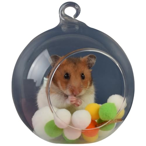 【Leichte transparente Kugel】Tragbares & hängendes Glasversteck für Kleintiere, lustiges Hamster- und Haustier-Rattenhaus von yeeplant