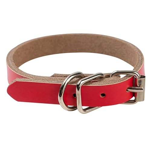 Modisches Haustierhalsband für kleine und einfache, weiche Welpen, Kunstleder, Katze, dekoratives Halsband, Hund, klein, einfach Modisches Haustierhalsband für kleine und einfache, weiche Welpen, Kunstleder, Katze, dekoratives Halsband, Hund, klein, einfach von yeeplant