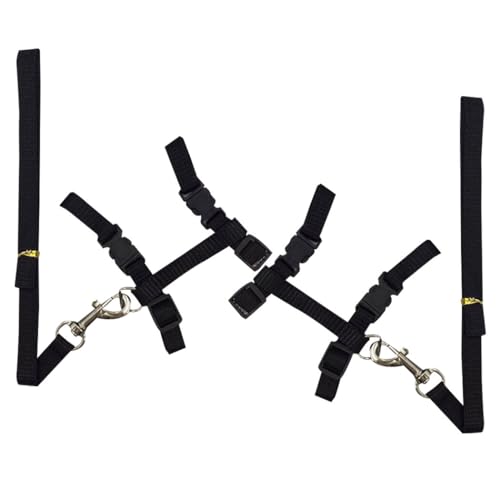Tragbares, professionelles verstellbares Katzen-Leinen-Set – 2 Sets lange Laufleine von yeeplant