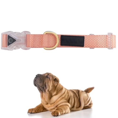 Verstellbares, tragbares Hundehalsband aus Nylon, klassisch, beleuchtet, wiederverwendbar, Schnalle für Hunde Verstellbares, tragbares Hundehalsband aus Nylon, klassisch, beleuchtet, wiederverwendbar, Schnalle für Hunde von yeeplant