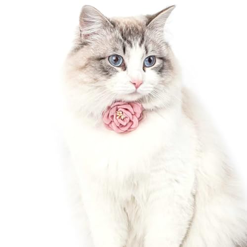 Verstellbares Katzenhalsband, handgefertigt, Garn, einzigartig, atmungsaktiv, Blumenparty, Hochzeit, Accessoire für Katzen von yeeplant