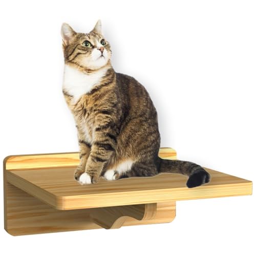 Wandmontiertes Katzenregal aus Holz, stabil für lustige Katzenmöbel, Sitzstange, Brücke, Trittleiter Wandmontiertes Katzenregal aus Holz, stabil für lustige Katzenmöbel, Sitzstange, Brücke, Trittleiter von yeeplant