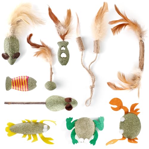 yeeplant 10 x Katzenminze-Spielzeug für Katzen, interaktives, niedliches Kunstfedern, Silvervine Katzenbeißspielzeug, Unterhaltung, Indoor-Spielzeug yeeplant 10 x Katzenminze-Spielzeug für Katzen, interaktives, niedliches Kunstfedern, Silvervine Katzenbeißspielzeug, Unterhaltung, Indoor-Spielzeug von yeeplant
