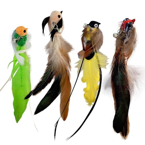 yeeplant 4 x Vogel-Nachfüllpackung für Katzenstab, interaktives, lustiges Kätzchen-Spielzeug mit Glocke, niedliches Haustier-Stick-Zubehör, wiederverwendbar yeeplant 4 x Vogel-Nachfüllpackung für Katzenstab, interaktives, lustiges Kätzchen-Spielzeug mit Glocke, niedliches Haustier-Stick-Zubehör, wiederverwendbar von yeeplant