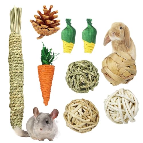 yeeplant Bio-Karottenspielzeug für Kaninchen, interaktives Kauspielzeug für Zahnreinigung, Grashamster-Spielzeug und Papageien-Spielzeug von yeeplant