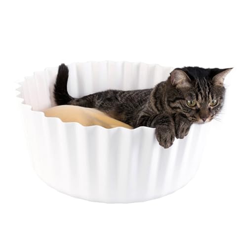 yeeplant Eierkuchenförmiges Kätzchen-Kissenbett, abnehmbar, weich, atmungsaktiv, Cartoon-Bett, Haustierbett, Hundebett, Eiertörtchen yeeplant Eierkuchenförmiges Kätzchen-Kissenbett, abnehmbar, weich, atmungsaktiv, Cartoon-Bett, Haustierbett, Hundebett, Eiertörtchen von yeeplant