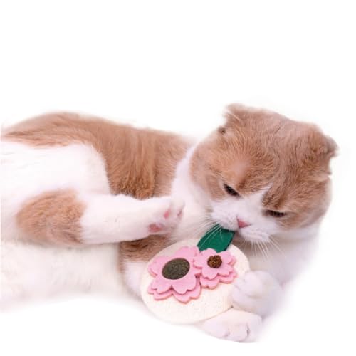 yeeplant Interaktives Katzen-Kauspielzeug mit Katzenminze und Silvervine für Zahngesundheit, niedliches und langlebiges Kätzchen-Bissspielzeug yeeplant Interaktives Katzen-Kauspielzeug mit Katzenminze und Silvervine für Zahngesundheit, niedliches und langlebiges Kätzchen-Bissspielzeug von yeeplant