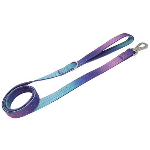 yeeplant Nylon-Hundeleine (150 cm), Farbverlauf, drehbarer Metallhaken, bequemer Griff, Universalgröße für alle Rassen von yeeplant