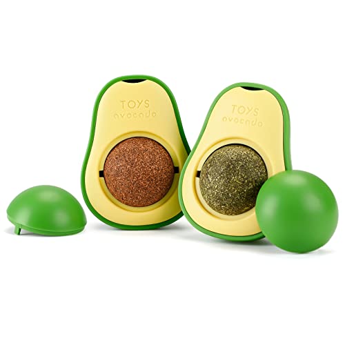 yeeplant Silvervine Katzenminze-Ball, essbar, 2 Stück, Zahnpflege, Kauspielzeug, Katzenwand-Leckerlis yeeplant Silvervine Katzenminze-Ball, essbar, 2 Stück, Zahnpflege, Kauspielzeug, Katzenwand-Leckerlis von yeeplant