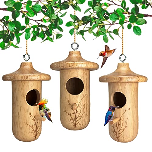 Kolibri-Haus, 3 Stück Kolibri-Vogelhaus zum Aufhängen im Freien, natürliches Holz-Kolibri-Nest, Garten-Geschenke, Heimdekoration Kolibri-Haus, 3 Stück Kolibri-Vogelhaus zum Aufhängen im Freien, natürliches Holz-Kolibri-Nest, Garten-Geschenke, Heimdekoration von yewacne