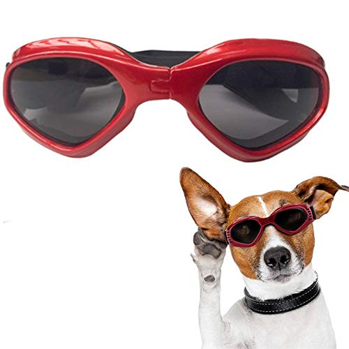 Hundebrille, UV-Schutz, Haustierbrille, wasserdicht, winddicht, Augenschutz für Katzen, kleine Hunde, rot von yinbaoer