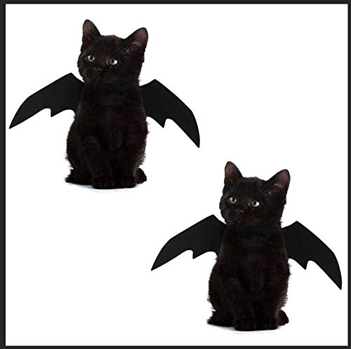 YOFIT Halloween-Kostüm für Katzen Hunde Haustier Fledermaus Flügel Katze Hund Fledermaus Kostüm Flügel von yofit