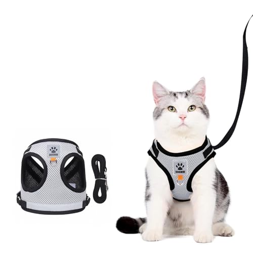 yolzhxe Katzengeschirr mit Leine Ausbruchsicher, Verstellbar Kleine Katzen Geschirr Softgeschirr für Katze Brustgeschirr Cat Harness Katzengarnitur, für Katzen Kitten Hunde Welpen, Grau M von yolzhxe