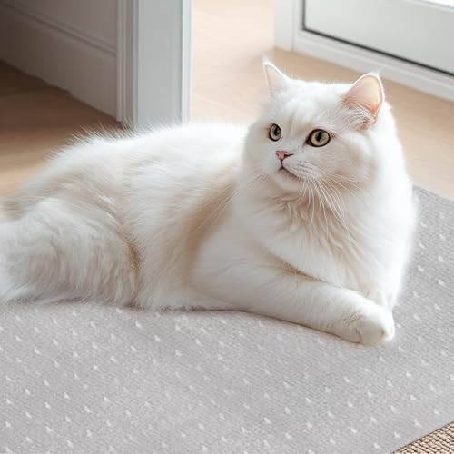 Yongjoy Teppichschutz für Haustiere – Kunststoff-Katzenteppichschutz für Tür, kratzfeste Teppichschutzmatte, Katzenkratzschutz, Teppich, leicht zu schneiden, 100 x 2 Stück Yongjoy Teppichschutz für Haustiere – Kunststoff-Katzenteppichschutz für Tür, kratzfeste Teppichschutzmatte, Katzenkratzschutz, Teppich, leicht zu schneiden, 100 x 2 Stück von yongjoy