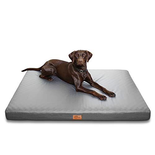 your GEAR Biella 160x100x10 cm orthopädisches Hundebett, Hundematte, Hundekissen, Oeko-TEX, waschbar your GEAR Biella 160x100x10 cm orthopädisches Hundebett, Hundematte, Hundekissen, Oeko-TEX, waschbar von your GEAR