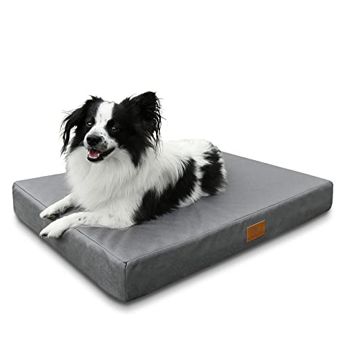 your GEAR Biella 80x60x10 cm orthopädisches Hundebett, Hundematte, Hundekissen, Oeko-TEX, waschbar your GEAR Biella 80x60x10 cm orthopädisches Hundebett, Hundematte, Hundekissen, Oeko-TEX, waschbar von your GEAR