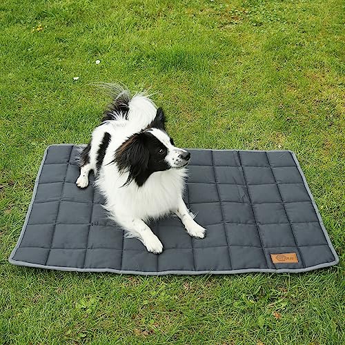your GEAR Lana Hundematte 90 x 60 cm Hundedecke, Oeko-TEX Baumwolle, weich, robust, waschbar, Indoor & Outdoor von your GEAR