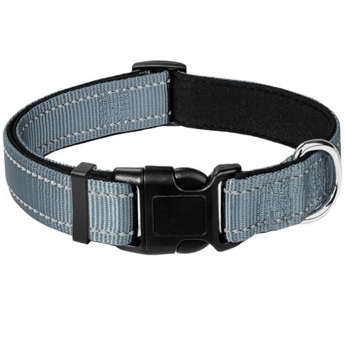 Graues Hundehalsband, reflektierendes Haustierhalsband mit Schnalle, verstellbare Sicherheits-Nylonhalsbänder für kleine, mittelgroße und große Hunde, XS Graues Hundehalsband, reflektierendes Haustierhalsband mit Schnalle, verstellbare Sicherheits-Nylonhalsbänder für kleine, mittelgroße und große Hunde, XS von yqswstl