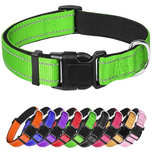 Grünes Hundehalsband, reflektierendes Haustierhalsband mit Schnalle, verstellbare Sicherheits-Nylonhalsbänder für kleine, mittelgroße und große Hunde, Größe XL Grünes Hundehalsband, reflektierendes Haustierhalsband mit Schnalle, verstellbare Sicherheits-Nylonhalsbänder für kleine, mittelgroße und große Hunde, Größe XL von yqswstl