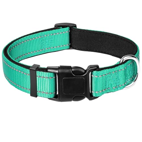 Hundehalsband, reflektierend, mit Schnalle, verstellbar, Sicherheits-Nylonhalsbänder für kleine, mittelgroße und große Hunde, Größe XL, Blaugrün Hundehalsband, reflektierend, mit Schnalle, verstellbar, Sicherheits-Nylonhalsbänder für kleine, mittelgroße und große Hunde, Größe XL, Blaugrün von yqswstl