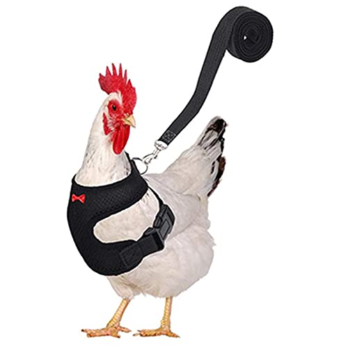 yubin Verstellbares Hühnergeschirr mit Leine und passendem Gürtel, Komfortable Henne Pet Vest Atmungsaktives Hühnertrainingsgeschirr für Hühner-, Enten- oder Gans-Trainingswandern (Schwarz, Rot) von yubin