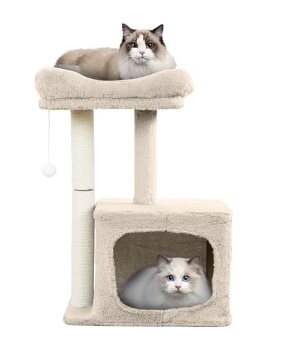 Kleiner Katzenturm für Indoor-Katzen und Kätzchen, 48,8 cm Mini-Katzenbaum mit oberer Sitzstange (Matte im Lieferumfang enthalten), Katzenhütte und Kratzbaum, Mini-Katzenbaum zum Schlafen, Klettern, von yuyuesmart
