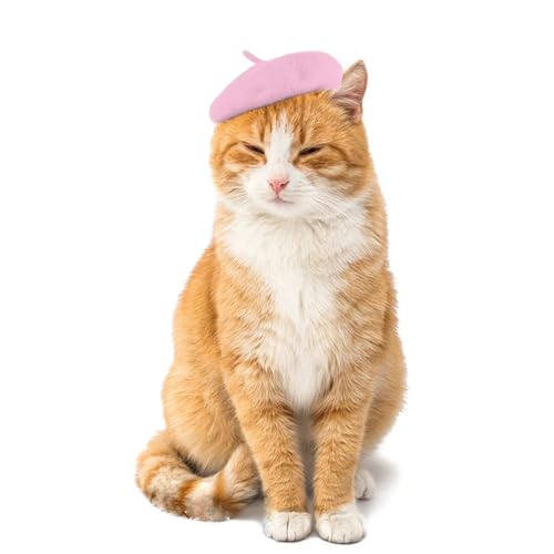 Haustier Katze Beret Kopfbedeckung Zubehör, Entzückende Kostüm Katze Berets Geeignet für Haustier Fotografie Dressing Up Maler, Haustier Kostüme Kopfbedeckung Zubehör (Rosa, Einheitsgröße) von ywkiyrs